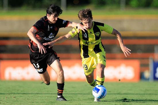 Isuzu UTE A-League report: Wellington prevail over Roar in Sydney